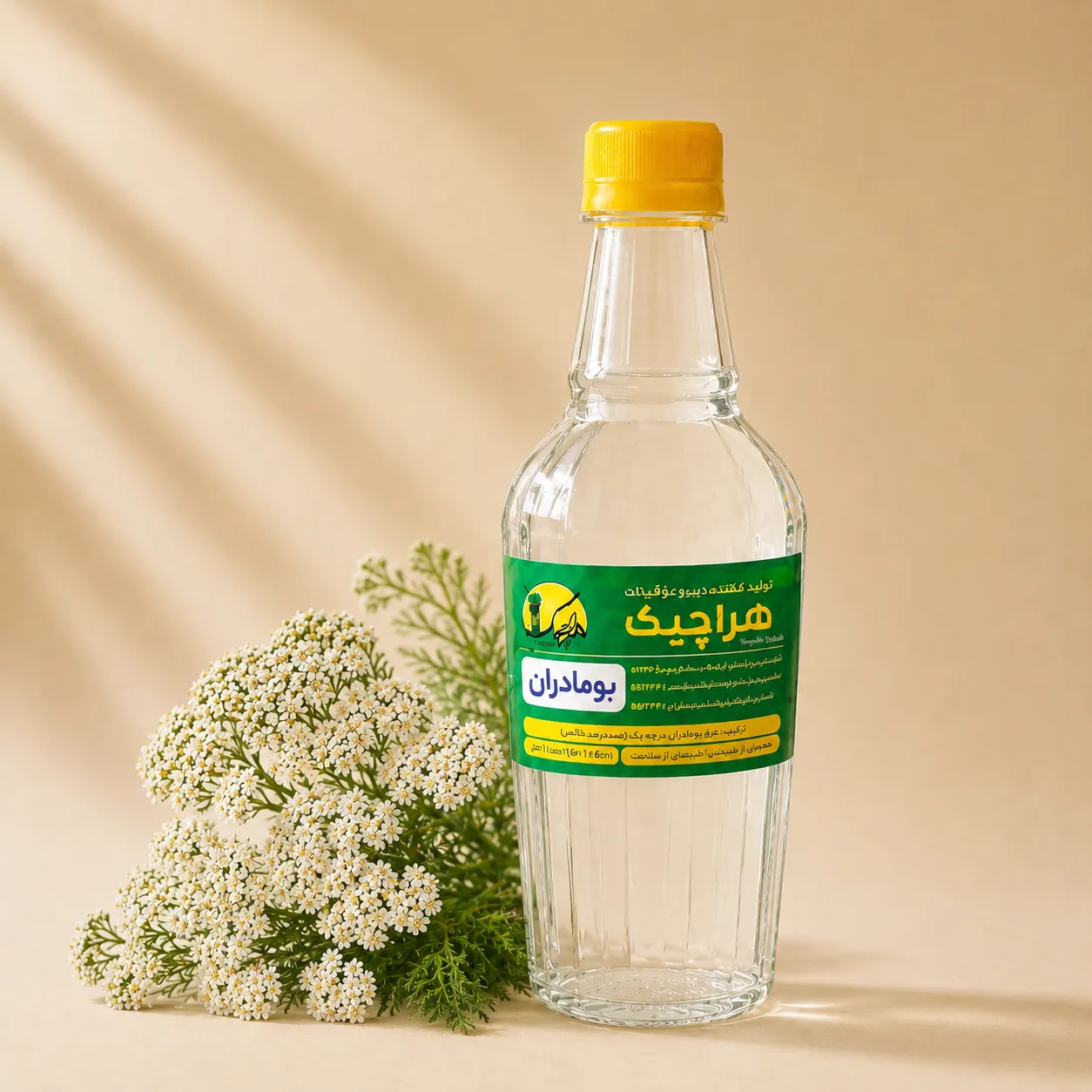 عرق بومادران هراچیک