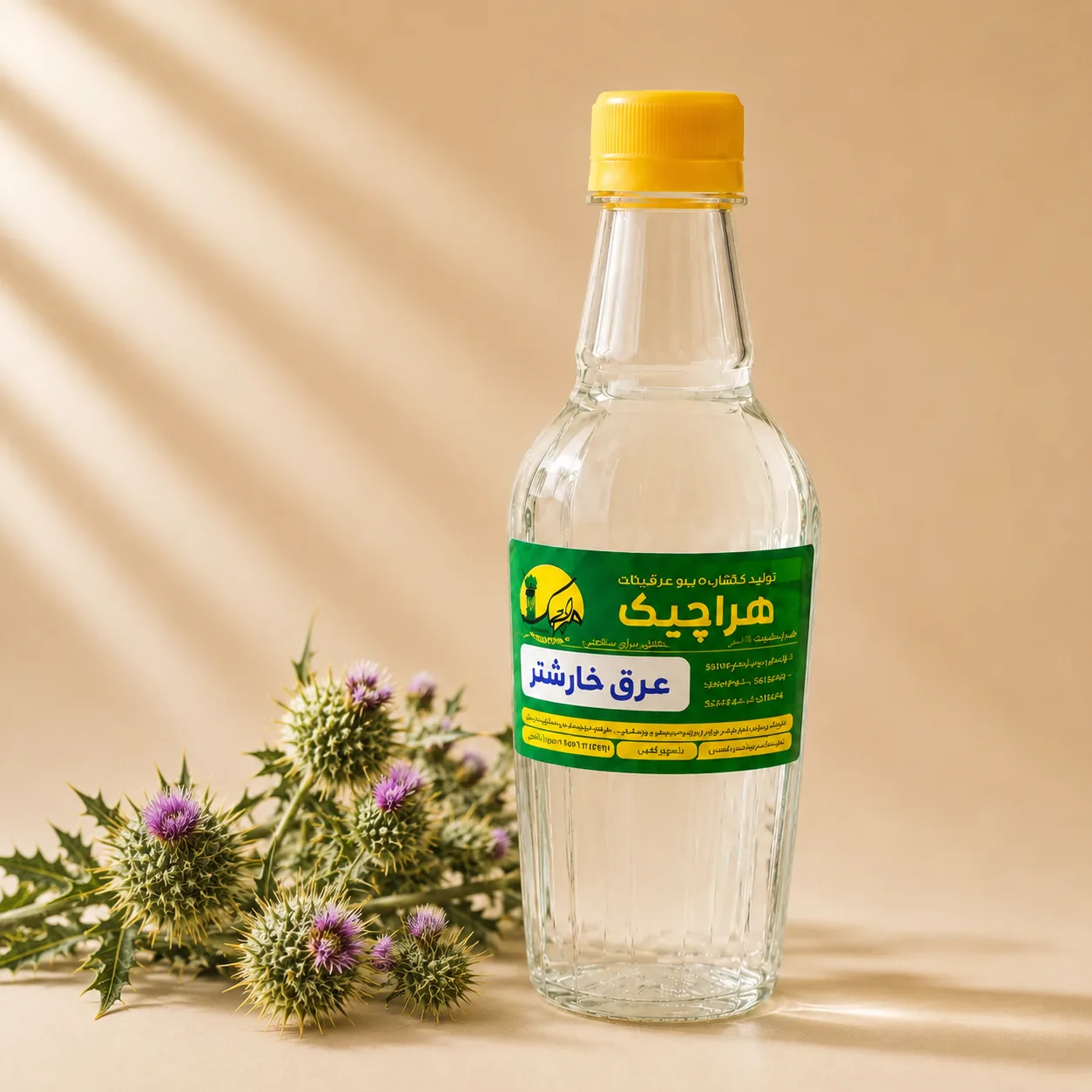 عرق خارشتر هراچیک